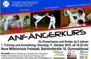Taekwondo Anfängerkurs